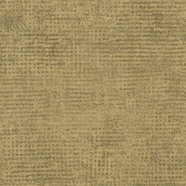 ED2520 Arte Edition Interlude