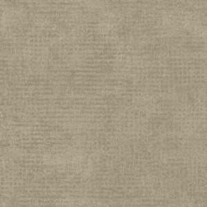 ED2525 Arte Edition Interlude
