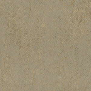 ED3001 Arte Edition Solstice