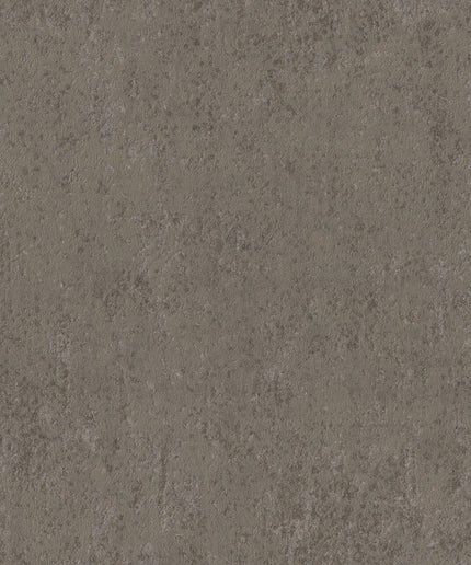 ED3003 Arte Edition Solstice