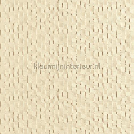 Arte Lincrusta rd1893 | Bestellen bij https://www.kleurmijninterieur.nl/