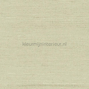 Arte Contract Silkx Raw 67493 | Bestellen bij https://www.kleurmijninterieur.nl/