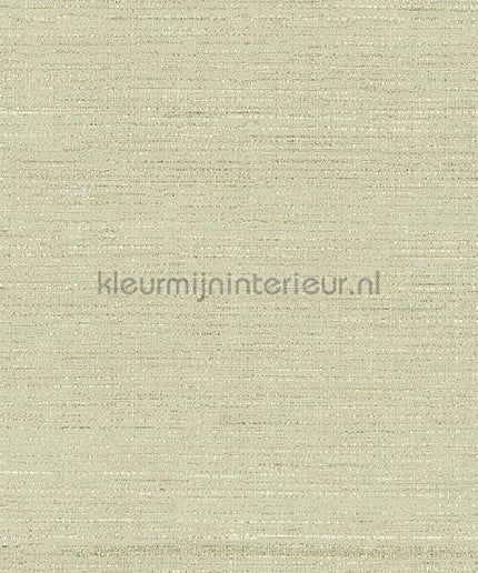 Arte Contract Silkx Raw 67493 | Bestellen bij https://www.kleurmijninterieur.nl/