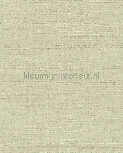 Arte Contract Silkx Raw 67493 | Bestellen bij https://www.kleurmijninterieur.nl/
