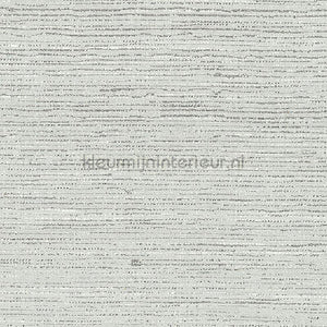 Arte Contract Silkx Raw 67496 | Bestellen bij https://www.kleurmijninterieur.nl/