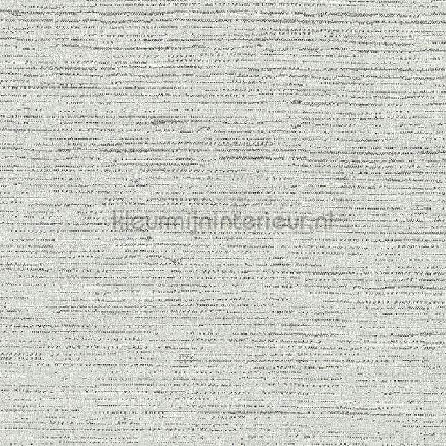 Arte Contract Silkx Raw 67496 | Bestellen bij https://www.kleurmijninterieur.nl/