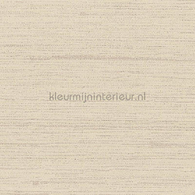 Arte Contract Silkx Raw 67499 | Bestellen bij https://www.kleurmijninterieur.nl/