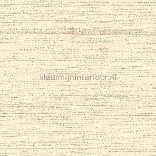 Arte Contract Silkx Raw 67501 | Bestellen bij https://www.kleurmijninterieur.nl/