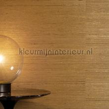 Arte Contract Silkx Raw 67502 | Bestellen bij https://www.kleurmijninterieur.nl/