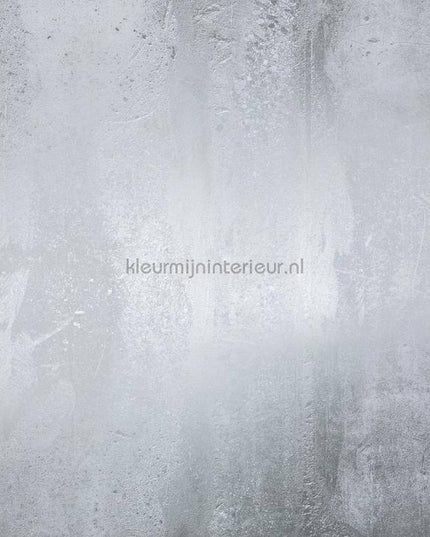 Komar RAW RSX6-018 | Bestellen bij https://www.kleurmijninterieur.nl/