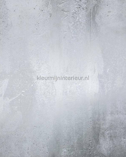 Komar RAW RSX8-018 | Bestellen bij https://www.kleurmijninterieur.nl/