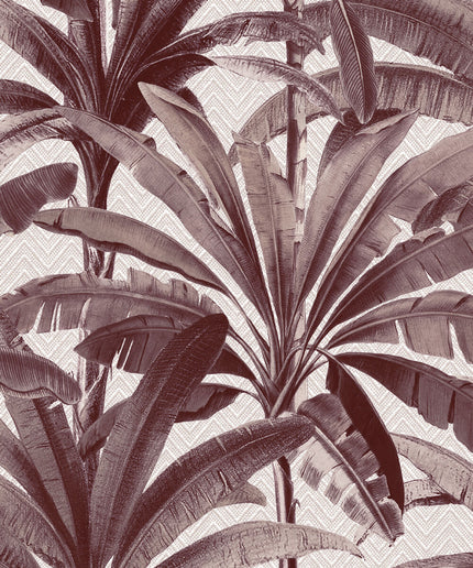 Arte 11141 exact high-resolution image