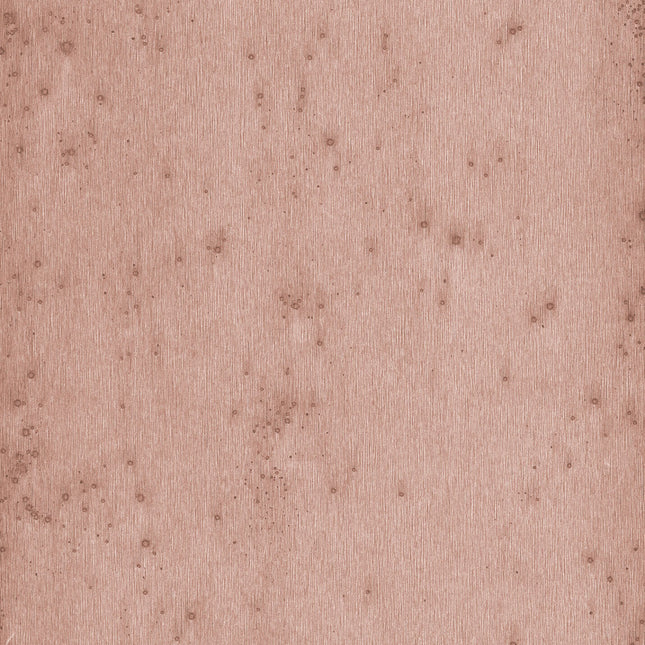 Arte Stellar 37503A official high-resolution packshot