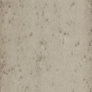Arte Stellar 37508A official high-resolution packshot
