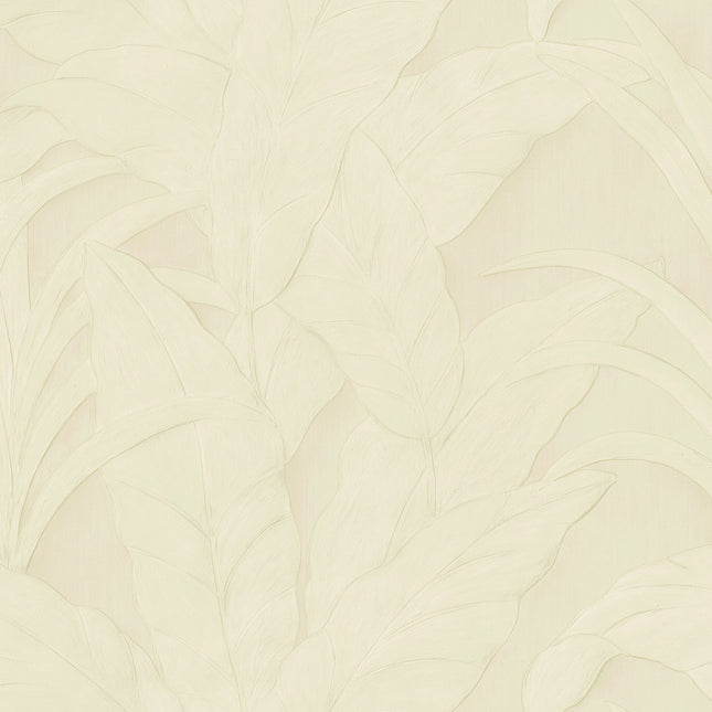 Arte 75005A official high-resolution image
