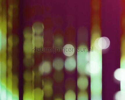 AS Creation Walls by Patel 2 dd113282 | Bestellen bij https://www.kleurmijninterieur.nl/