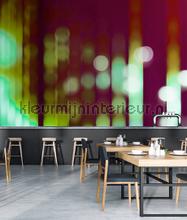 AS Creation Walls by Patel 2 dd113282 | Bestellen bij https://www.kleurmijninterieur.nl/