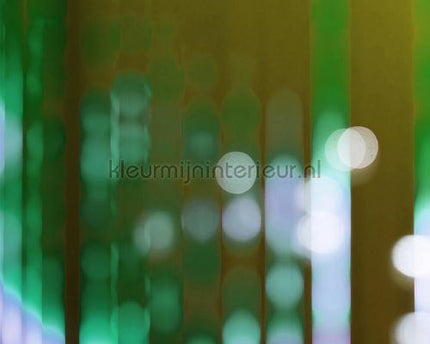 AS Creation Walls by Patel 2 dd113287 | Bestellen bij https://www.kleurmijninterieur.nl/