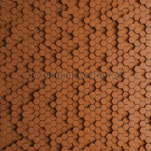 AS Creation Walls by Patel 2 dd113327 | Bestellen bij https://www.kleurmijninterieur.nl/