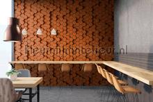 AS Creation Walls by Patel 2 dd113327 | Bestellen bij https://www.kleurmijninterieur.nl/