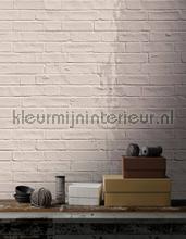 AS Creation Walls by Patel 2 dd113357 | Bestellen bij https://www.kleurmijninterieur.nl/