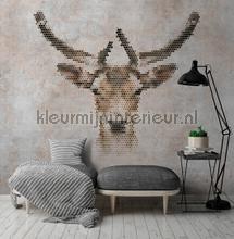 AS Creation Walls by Patel 2 dd113502 | Bestellen bij https://www.kleurmijninterieur.nl/