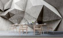 AS Creation Walls by Patel 2 dd113522 | Bestellen bij https://www.kleurmijninterieur.nl/
