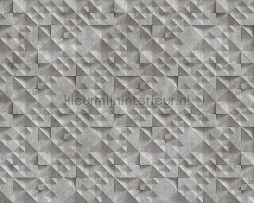 AS Creation Walls by Patel 2 dd113532 | Bestellen bij https://www.kleurmijninterieur.nl/
