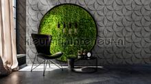 AS Creation Walls by Patel 2 dd113537 | Bestellen bij https://www.kleurmijninterieur.nl/