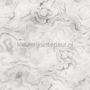 AS Creation Walls by Patel 2 dd113562 | Bestellen bij https://www.kleurmijninterieur.nl/