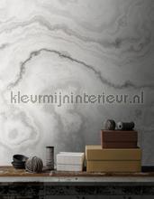AS Creation Walls by Patel 2 dd113562 | Bestellen bij https://www.kleurmijninterieur.nl/