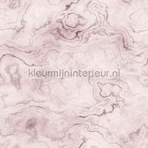 AS Creation Walls by Patel 2 dd113572 | Bestellen bij https://www.kleurmijninterieur.nl/