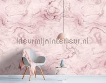 AS Creation Walls by Patel 2 dd113572 | Bestellen bij https://www.kleurmijninterieur.nl/