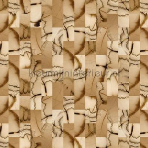 AS Creation Walls by Patel 2 dd113602 | Bestellen bij https://www.kleurmijninterieur.nl/