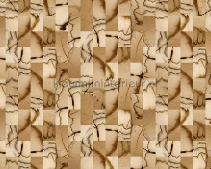 AS Creation Walls by Patel 2 dd113602 | Bestellen bij https://www.kleurmijninterieur.nl/