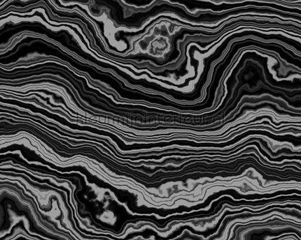 AS Creation Walls by Patel 2 dd113612 | Bestellen bij https://www.kleurmijninterieur.nl/