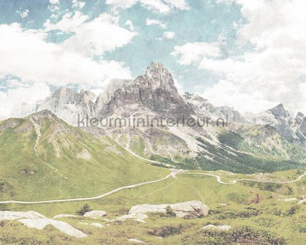 AS Creation Walls by Patel 2 dd113667 | Bestellen bij https://www.kleurmijninterieur.nl/