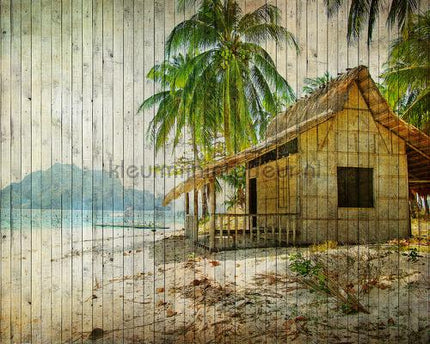 AS Creation Walls by Patel 2 dd113672 | Bestellen bij https://www.kleurmijninterieur.nl/