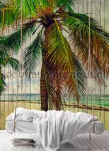 AS Creation Walls by Patel 2 dd113682 | Bestellen bij https://www.kleurmijninterieur.nl/