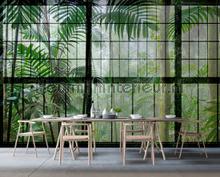 AS Creation Walls by Patel 2 dd113737 | Bestellen bij https://www.kleurmijninterieur.nl/