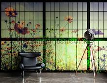 AS Creation Walls by Patel 2 dd113752 | Bestellen bij https://www.kleurmijninterieur.nl/