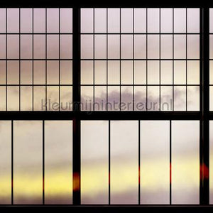 AS Creation Walls by Patel 2 dd113762 | Bestellen bij https://www.kleurmijninterieur.nl/