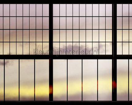 AS Creation Walls by Patel 2 dd113762 | Bestellen bij https://www.kleurmijninterieur.nl/