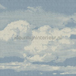 AS Creation Walls by Patel 2 dd113772 | Bestellen bij https://www.kleurmijninterieur.nl/