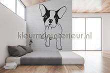 AS Creation Walls by Patel 2 dd113892 | Bestellen bij https://www.kleurmijninterieur.nl/