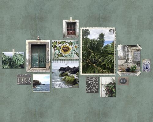 AS Creation Walls by Patel 2 dd114012 | Bestellen bij https://www.kleurmijninterieur.nl/