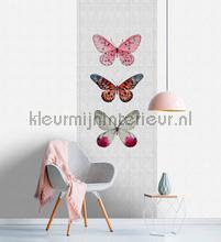 AS Creation Walls by Patel 2 dd114037 | Bestellen bij https://www.kleurmijninterieur.nl/