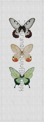 AS Creation Walls by Patel 2 dd114042 | Bestellen bij https://www.kleurmijninterieur.nl/