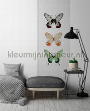 AS Creation Walls by Patel 2 dd114042 | Bestellen bij https://www.kleurmijninterieur.nl/