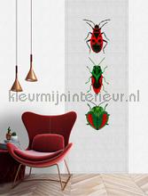 AS Creation Walls by Patel 2 dd114047 | Bestellen bij https://www.kleurmijninterieur.nl/